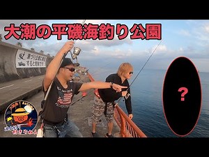 【平磯】海やない、川や。平磯海釣り公園で五目釣り 【大潮】