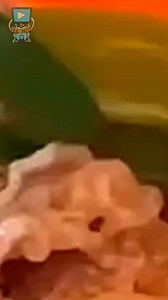 73K views · 864 reactions | Ganito kung paano umiinit Ang mga bento box  #facts #reels | C.G FactStories | Facebook