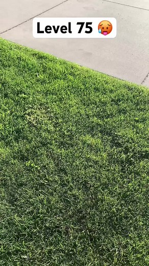 Ultimate Water Gun Fun for Kids