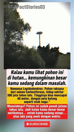 Jika Kamu Lihat Pohon Ini di Hutan... Ada yang Salah 😱Pohon Ini Sudah#viral #shortvideo #shorts