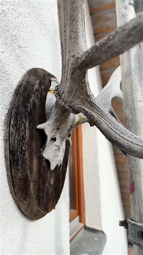 Electrician Jobs in Germany: Opportunities and Insights