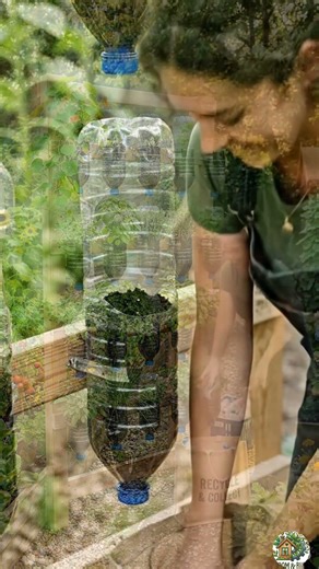 Turn Plastic Bottles into a Vertical Garden 🌿♻️ | DIY Amazing Idea