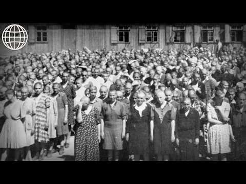 The Survivors Of The SS: First-Hand Accounts From Inside Auschwitz