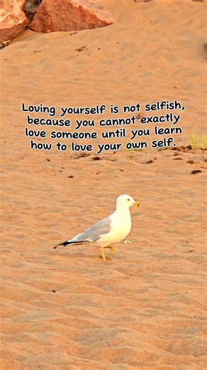 Loving yourself is not selfish. #quotes #selflove #viral #selfcare Title: Welcome You Home Artist: Global Genius Link: https://www.facebook.com/sound/collection/?sound_collection_tab=sound_tracks&asset_id=449114593632358&reference=artist_attr | Quotes and Notes