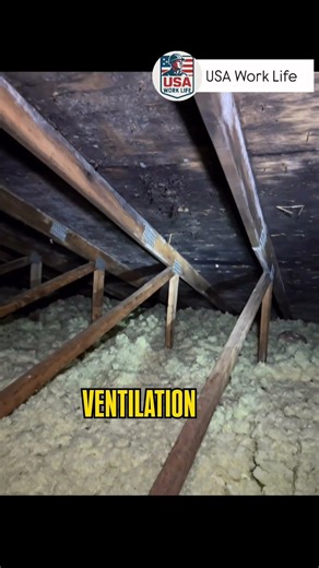 Home inspection #MoldInspection #RoofInspection #AtticInspection