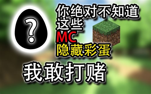 你绝对不知道的MC隐藏彩蛋！我敢打赌！100%不可能知道！