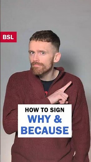 How to sign Why and Because: BSL Sign of the Day 185