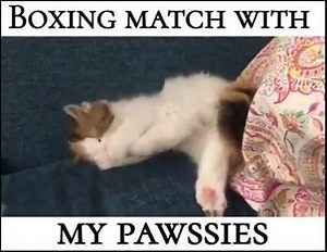 Awwww.... ♥ ♥ | Animal Lovers Club