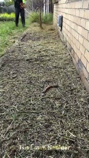 Mowing | Cutting | Blowing | Gardening | Edging #shorts #satisfying