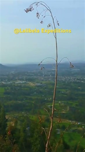 Resilience of Tigray, a region with a deep history of communities. #Tigray #Ethiopia #Culture