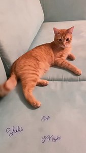 Vera Fischer on Reels