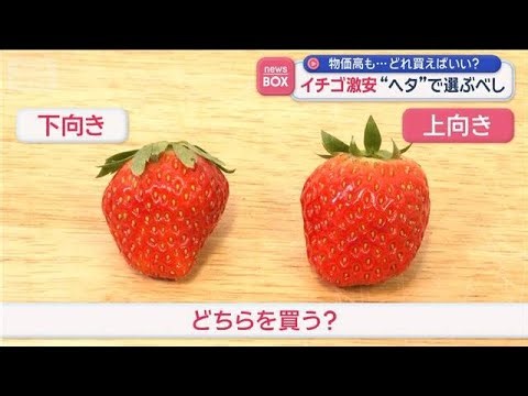 昨今お買い得のイチゴの選び方 「ヘタ」が上向きか否か見るべし【スーパーJチャンネル】(2026年4月6日)
