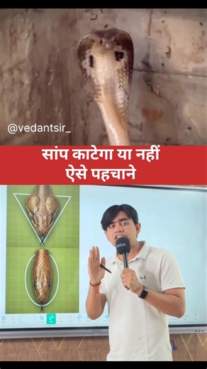 सांप काटेगा या नहीं ऐसे पहचाने 😱 #facts #knowledge #education #information #science #health