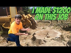 “How I Made $1200 in 2 Hours Grinding Stumps”
