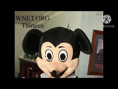 Wnet.Org Thirteen Logo