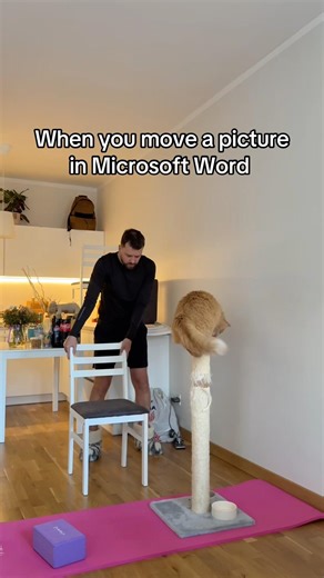 When you move a picture in Microsoft Word 💻 | #relatable #fyp #explorepage #microsoft #msword