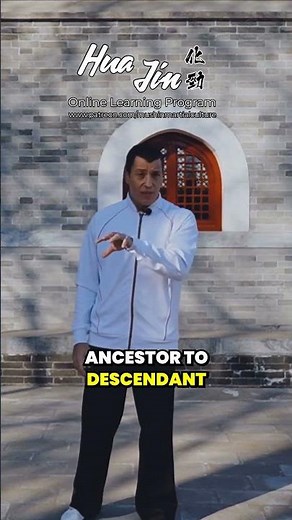 Structure optimale du Kung-Fu - Xingyi Quan #kungfu #structure