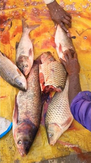 BRIGET FISH CUTTING/Arunsaroj #shortvideo #fishing #shorts #trending #short #fish #seafood #fish