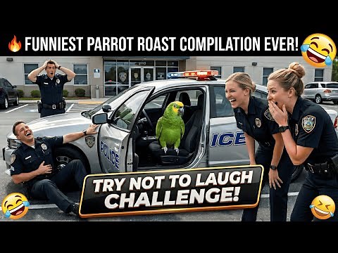 🦜🤣 Funniest Parrot Roast Compilation Ever – Cops Can’t Stop Laughing! 🔥😂