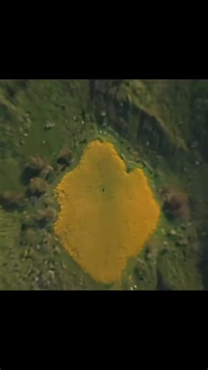 Don't Flop: Goofy Football Edit That Will Make You Laugh