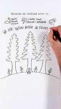 Forest Bathing @NPR