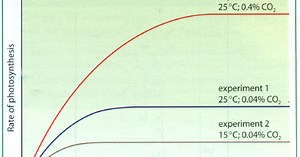 #105 Limiting factors in photosynthesis