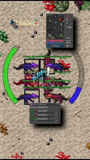 TIBIA / 812 ED VS GOANNAS SIN SET
