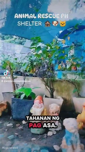 ANIMAL RESCUE PH SHELTER A SANCTUARY FOR HOMELESS ANIMALS 🐕‍🦺🐈 | Animal Rescue PH