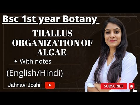 Thallus organization of algae: notes;Bsc 1st year Botany