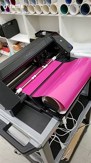 Crafty Cameo and Cricut Hacks with Roll Feeder and Vinyl