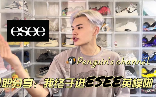 我终于进esee英模啦！我的蜜汁就业经历