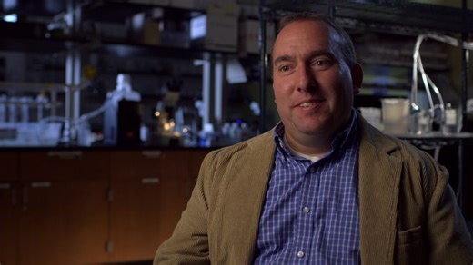 Monsters Inside Me - Discovery UK