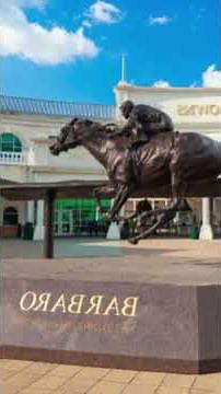 The Thoroughbred Who Changed Racing History #horse #horses #history