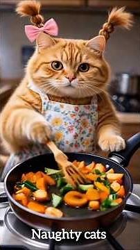 Funniest Viral Cats Compilation 😂 | Try Not To Laugh 🐱 #Shorts