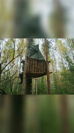 8K views · 36 reactions | I continued building my treehouse, finishing the walls on it and installing a hot tent stove! Still got some work to do next time I visit it. #bushcraft #bushcrafting #treehouse #offgrid #cabin #treecabin #woodwork | Outwithafinn | Facebook