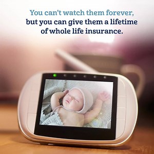 1.7K reactions · 244 shares | The Gerber Life Grow-Up® Plan helps you protect your little one’s financial future  — even when they’re not so little any more 六 | Gerber Life | Facebook