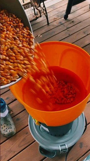 Cracking corn for the chickens with our Grain Mill. Perfect for our little flock!