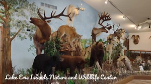 536 reactions · 173 shares | Put-in-Bay Family Fun Packages with Miller Ferry, Narrated Tour Train, Butterfly House, Mini-Golf, Caves, Museums & more. | Ohio, The Heart of it All | Facebook