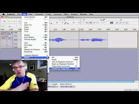 Audacity Loop Tutorial : How to Loop Sound Samples