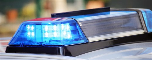 Nach Wildunfall: Scharfe Munition gefunden