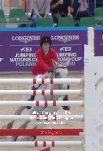 you don’t just get a powerful horse for nothing #jessicaspringsteen #cynarva #horse #equestrian #horsetrend