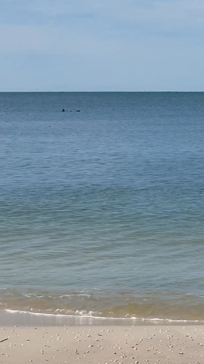 The best way to start a morning in #mexicobeachfl | Discover Mexico Beach, FL