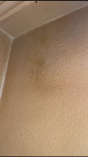 1.3K views · 68 reactions |  Sauber wie vom Profi – mit FireCleaner!  Entfernt Nikotin, Kalk, Fett & Schimmel in Sekunden.  Jetzt bestellen & Glanz erleben:  www.packglanz.de #viralreels #fyp #firecleaner #packglanz #cleanhome | Pack Glanz | Facebook