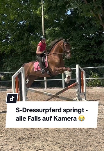 Bitte zuerst ganz anschauen, bevor du kommentierst 🥰 Bei vielen Fails lag der Fehler auch bei mir, es ist definitiv ne Herausforderung als Spring-Neuling einem Pferd das Springen beizubringen 😅 Natürlich sieht das nicht immer schön aus und das muss es auch nicht. Wichtig ist, was am Ende dabei herauskommt. Nach circa 10 Einheiten, konnten wir uns letzten Herbst dann sehen lassen und ich hoffe, die Bedingungen gebe es bald wieder her, dass wir zuhause wieder springen können. Entweder war es zu 