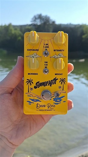 Summer Heat Guitar Pedal - In Hand