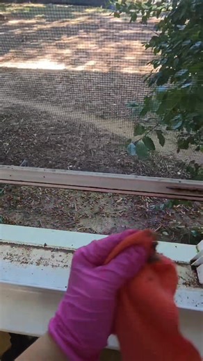 Let the sunshine in!  A clean window sill makes all the difference — no more dust, dirt, or grime standing in the way of your view! 什 #CleanHomeGoals #WindowSillCleaning #ShineBright #HouseCleaning #RiseNShineCleaningService #RiseNShine #TransformYourSpace #HomeCleaningExperts #BeforeAndAfterClean #cleaningday #CleaningGoals #risenshinecleaning #FreshStartClean #FromMessToFresh #window #windowsill #windowclean #deepcleaning #moveoutcleaning | Rise N Shine Cleaning | Facebook