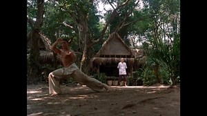 One of the best martial arts scenes of all times! | Martial Artist