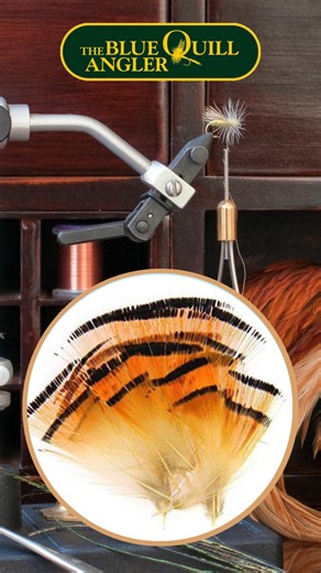 The Blue Quill Angler offers one of the nation’s largest selections of fly tying materials, tools, and hooks—all in one seamless, easy-to-navigate shop. With everything from classic feathers to the hottest synthetics, you’ll never be left without the right materials when the hatch is on. | The Blue Quill Angler