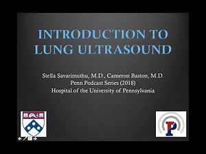 Introduction to Lung Ultrasound -- BAVLS