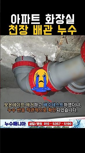 아파트 아랫집 화장실 천장 누수, 점검구 열어서 원인 찾았습니다 #누수 #누수탐지 #배관누수 #화장실누수